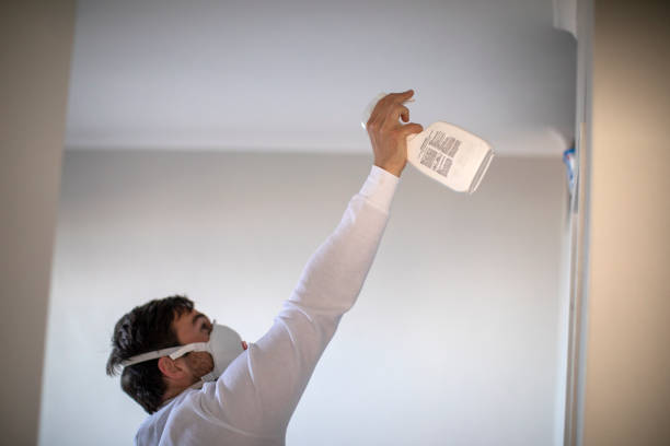 Best Residential Mold Remediation in Saddle Rock, NY